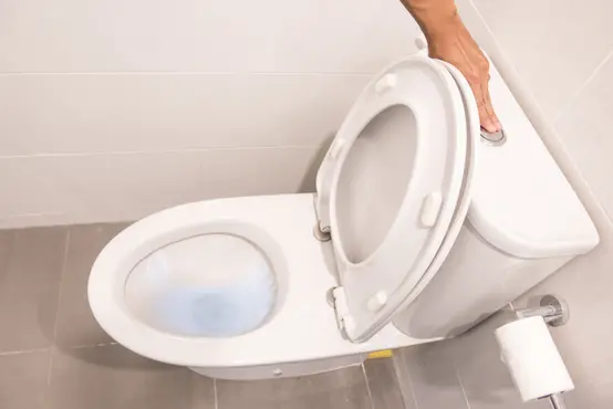 réparation wc bouché