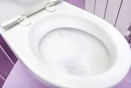 plombier déboucheur wc